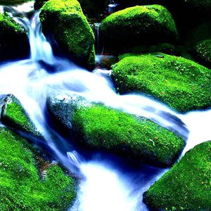 国产iGAO为爱寻找激情歌词
